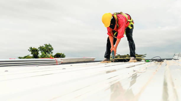 Best Flat Roofing  in Meadows Place, TX