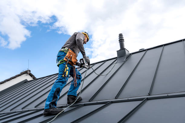 Best Roof Leak Repair  in Meadows Place, TX